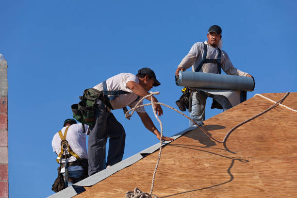 Best Best Roofing Contractors  in North Bend, NE