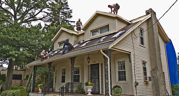 Best Roof Waterproofing Services  in North Bend, NE